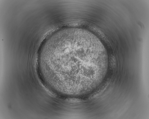 X0000112780590200909101614