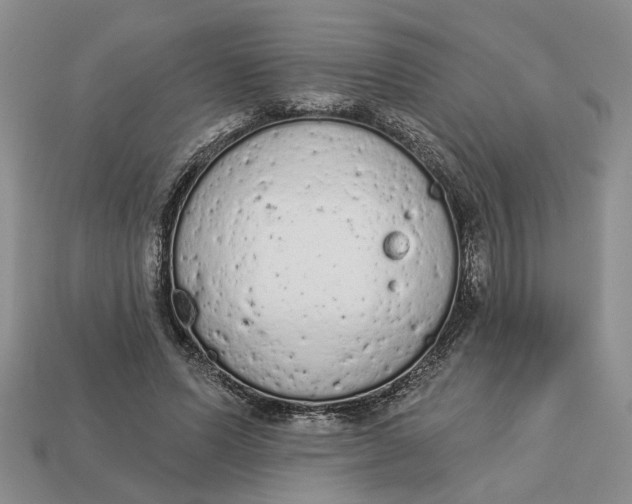 X0000112780591200909101614