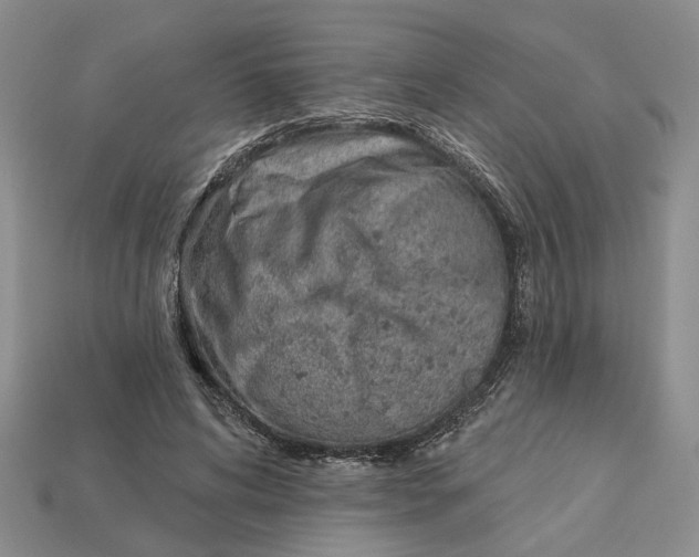 X0000112780592200909101614