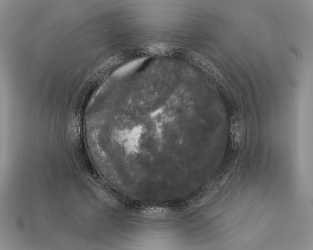 X0000112780593200909101614