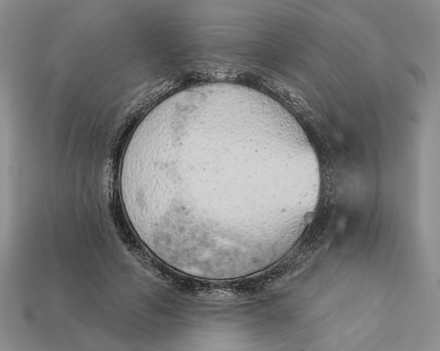 X0000112780594200909101614