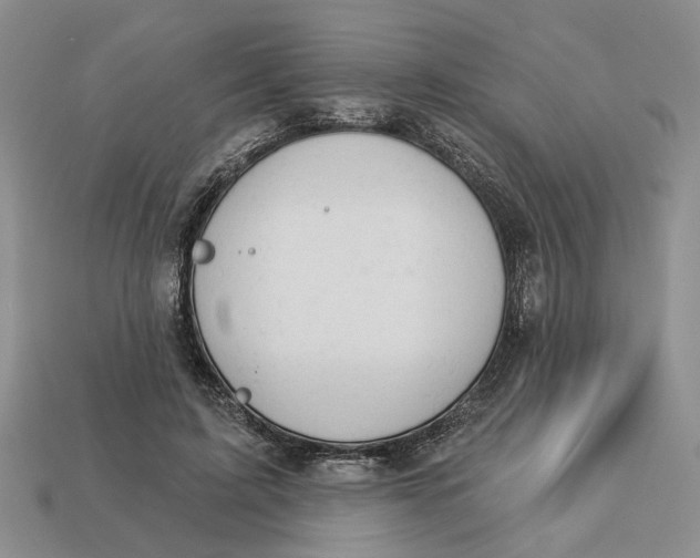 X0000112780595200909101614