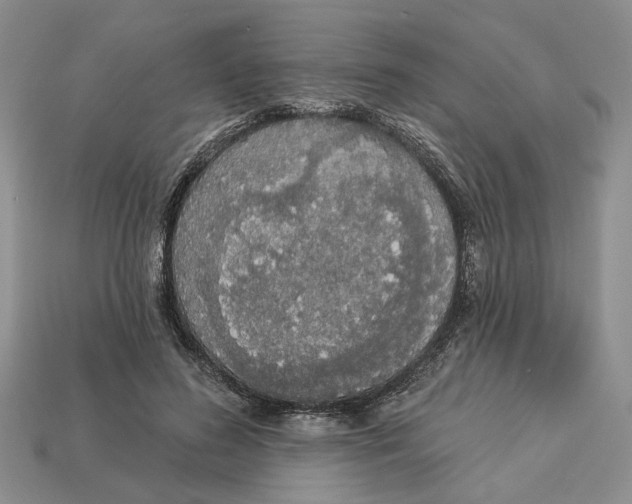 X0000112780596200909101614