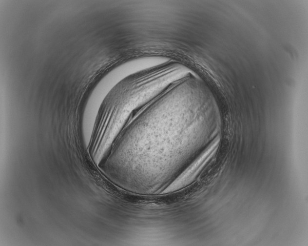 X0000112780597200909101614