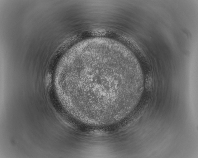 X0000112780598200909101614