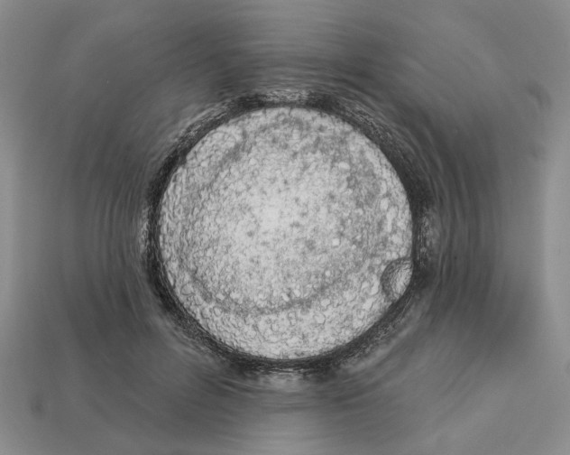 X0000112780600200909101614