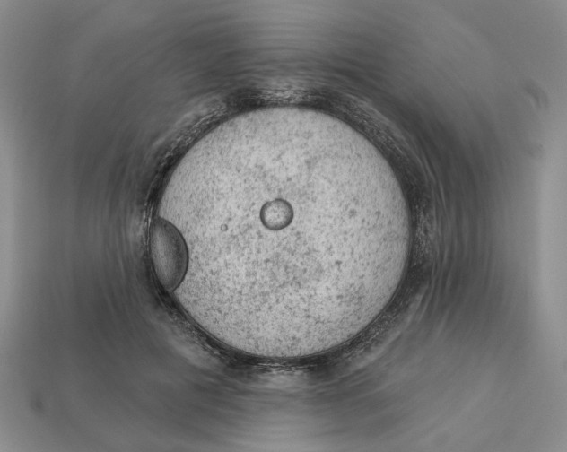 X0000112780601200909101614