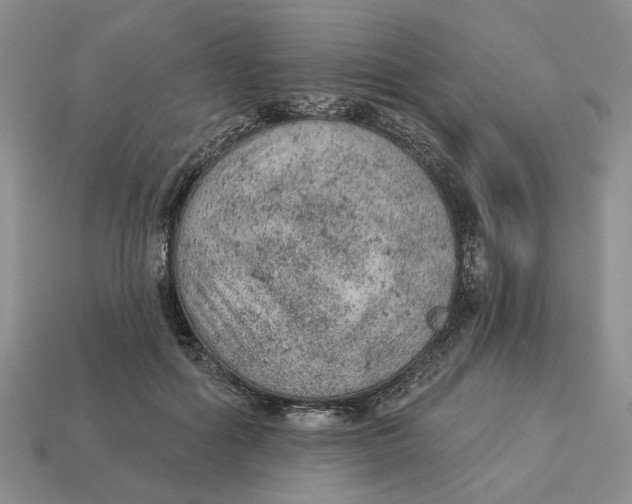 X0000112780602200909101614