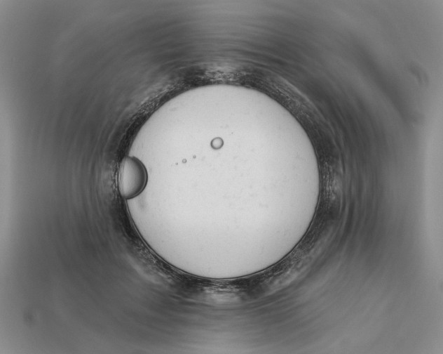 X0000112780603200909101614