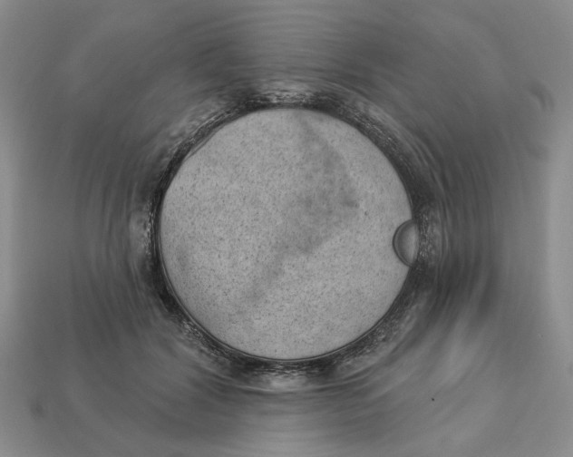 X0000112780604200909101614