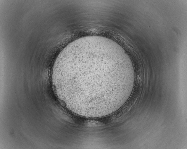 X0000112780605200909101614