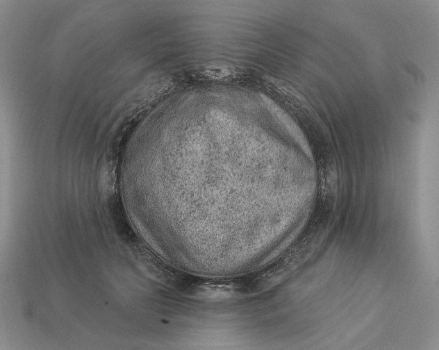 X0000112780606200909101614