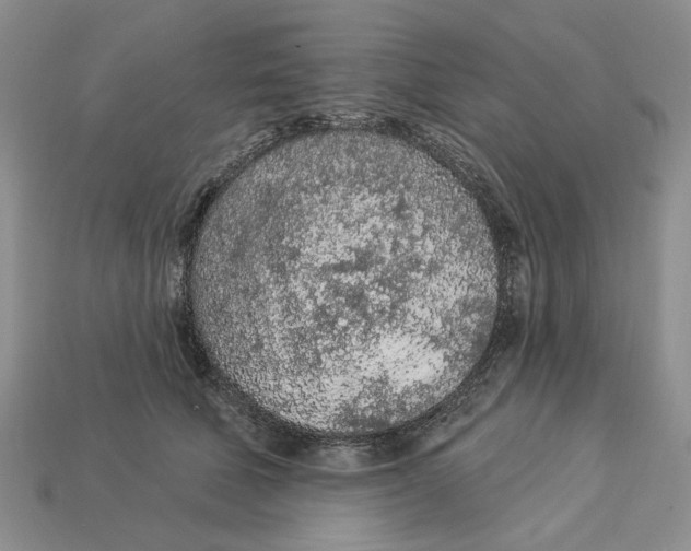 X0000112780610200909101614