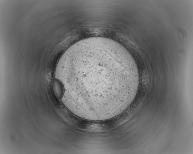 X0000112780611200909101614