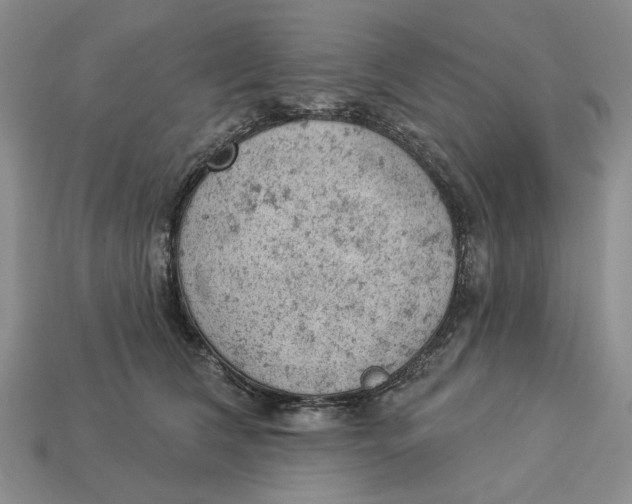 X0000112780612200909101614