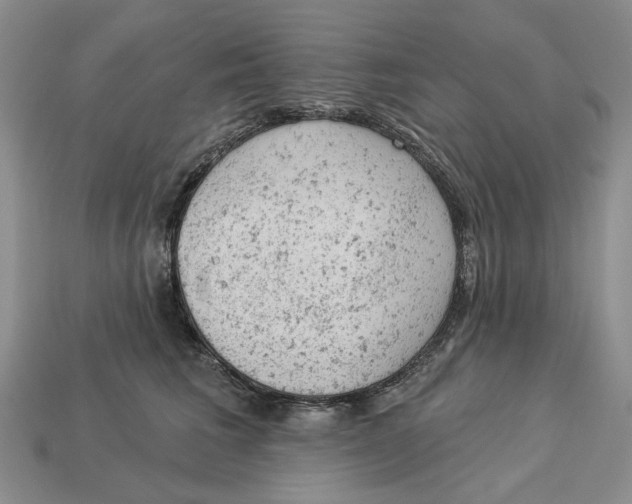 X0000112780613200909101614