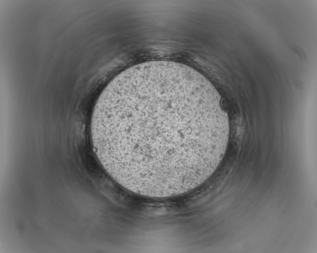 X0000112780615200909101614