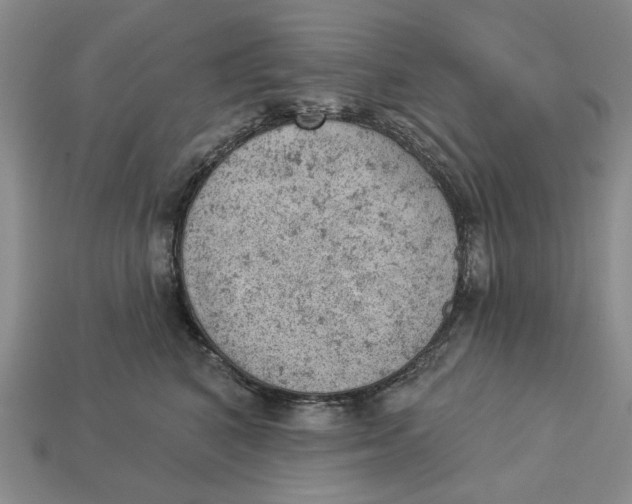 X0000112780616200909101614