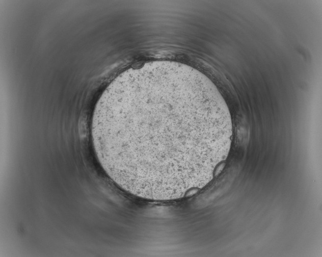 X0000112780620200909101614