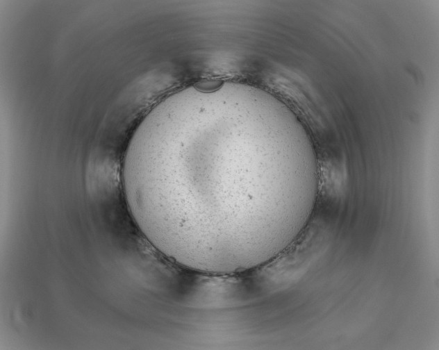 X0000112780621200909101614