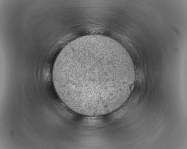 X0000112780622200909101614