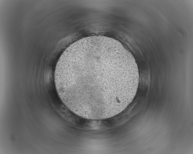 X0000112780623200909101614