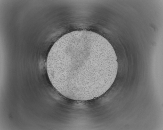 X0000112780624200909101613