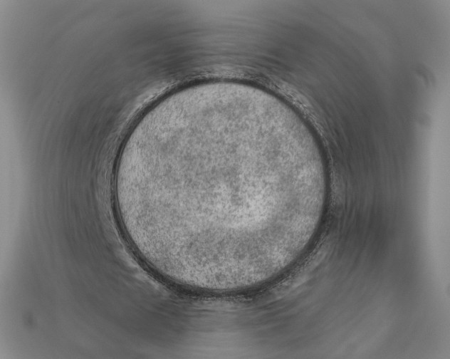 X0000112780625200909101613