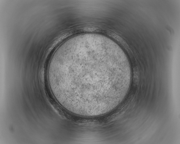 X0000112780626200909101613