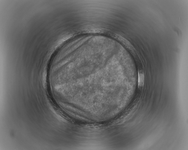 X0000112780627200909101613