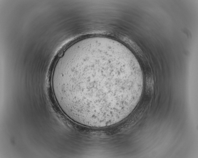 X0000112780628200909101613