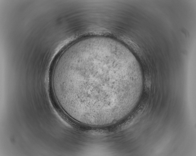 X0000112780630200909101613