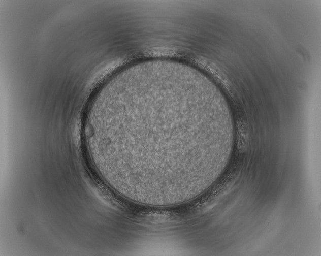 X0000112780631200909101613