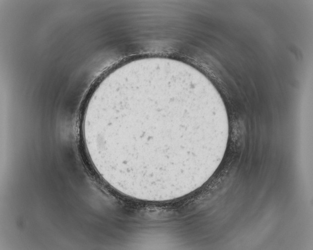 X0000112780632200909101613