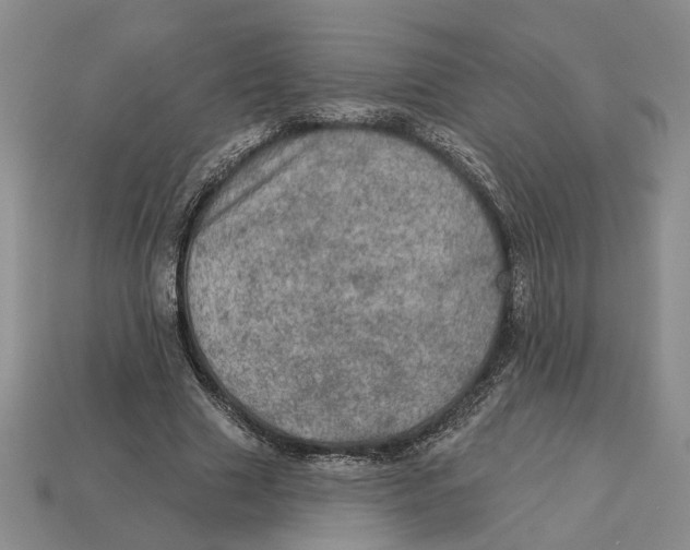 X0000112780633200909101613