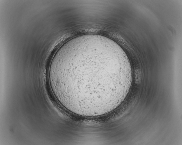 X0000112780634200909101613