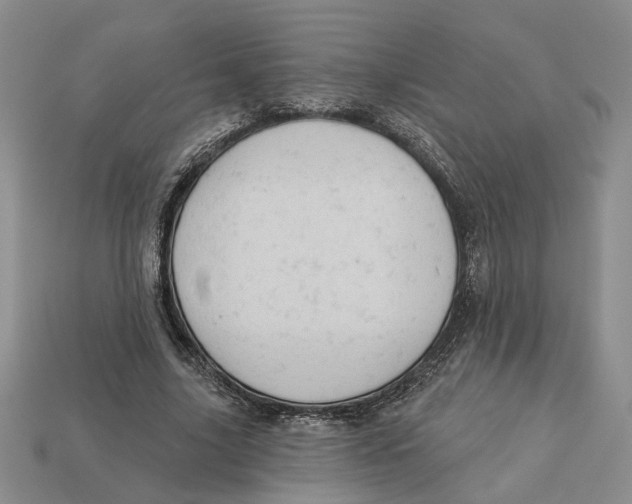 X0000112780635200909101613