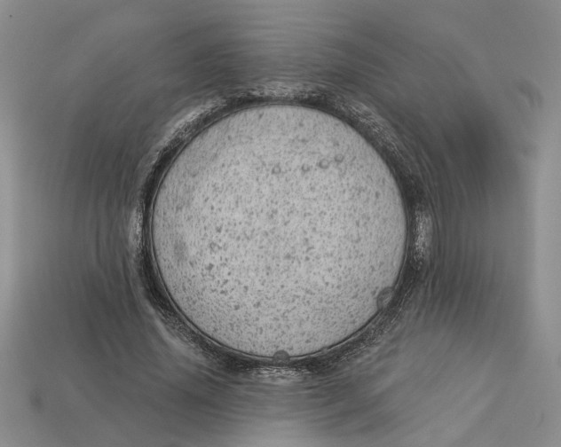 X0000112780636200909101613