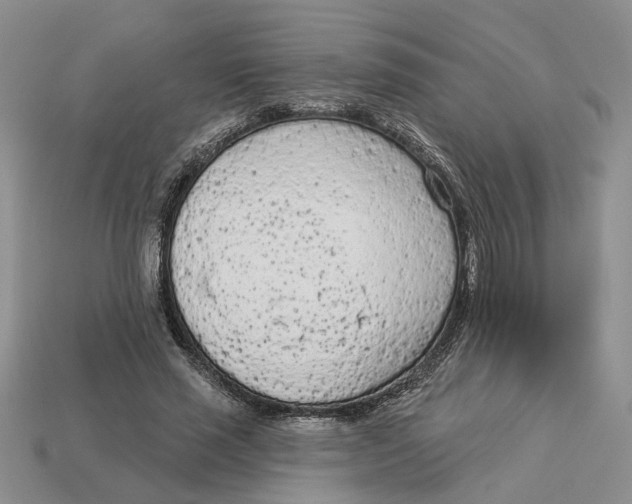 X0000112780637200909101613