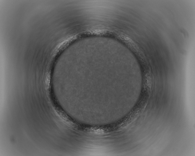 X0000112780640200909101613