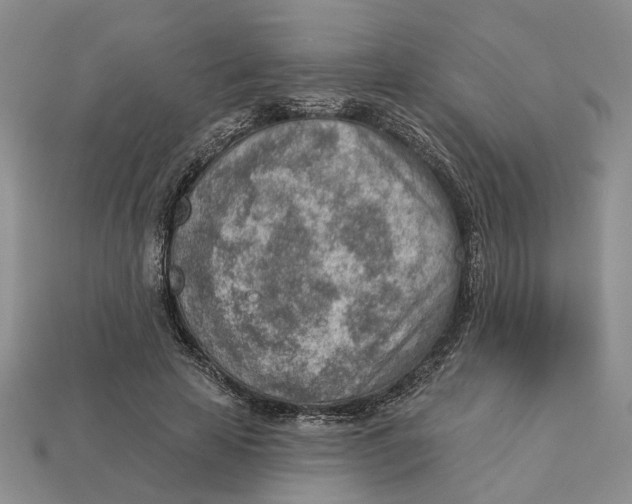 X0000112780641200909101613