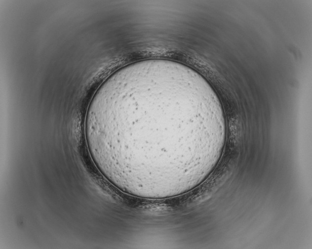 X0000112780642200909101613