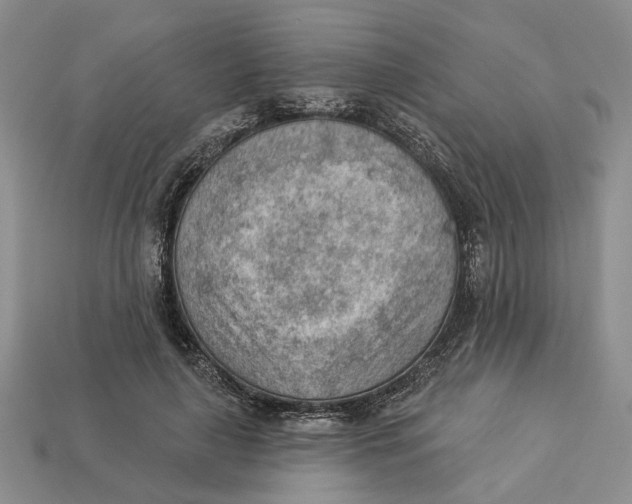 X0000112780643200909101613