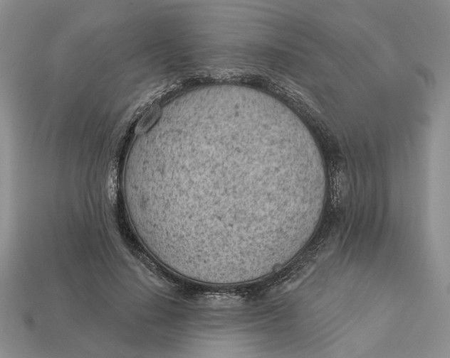 X0000112780644200909101613