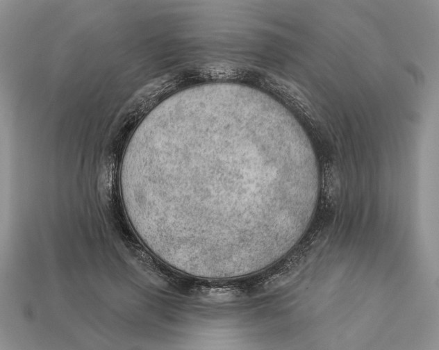 X0000112780645200909101613