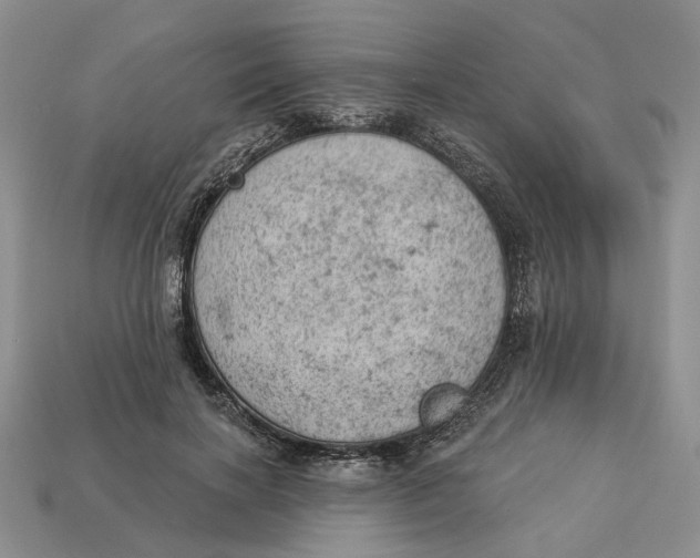 X0000112780646200909101613