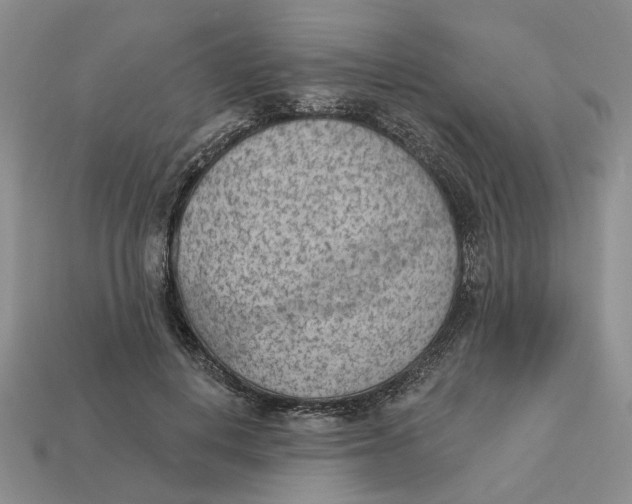 X0000112780648200909101613