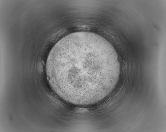 X0000112780649200909101613