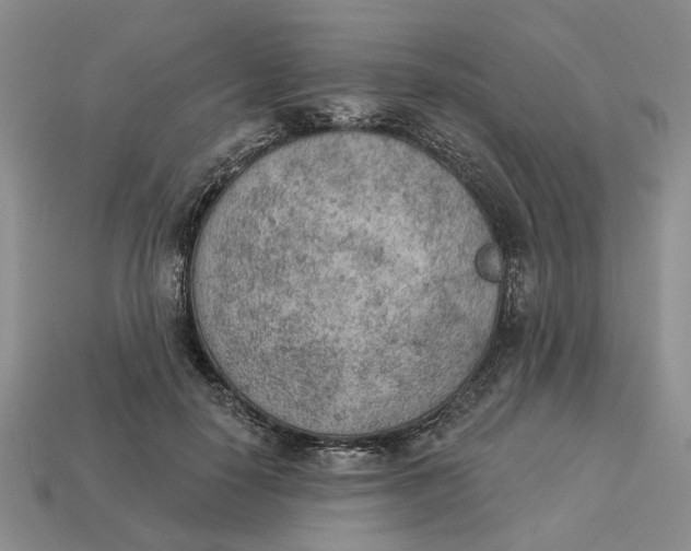 X0000112780650200909101613