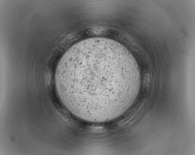 X0000112780651200909101613